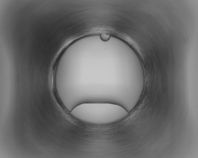 X0000110901227200906180939