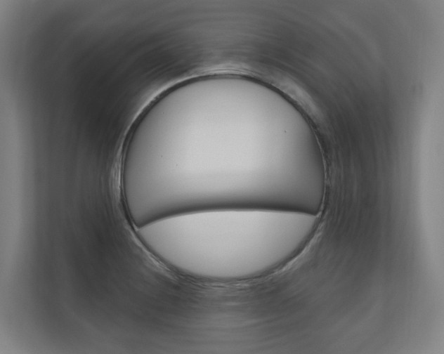 X0000110901228200906180939
