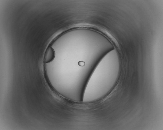 X0000110901229200906180939