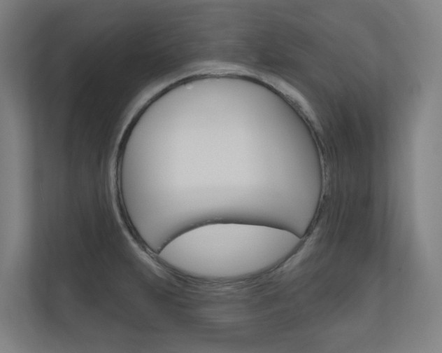 X0000110901231200906180939