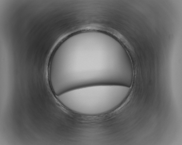 X0000110901232200906180939