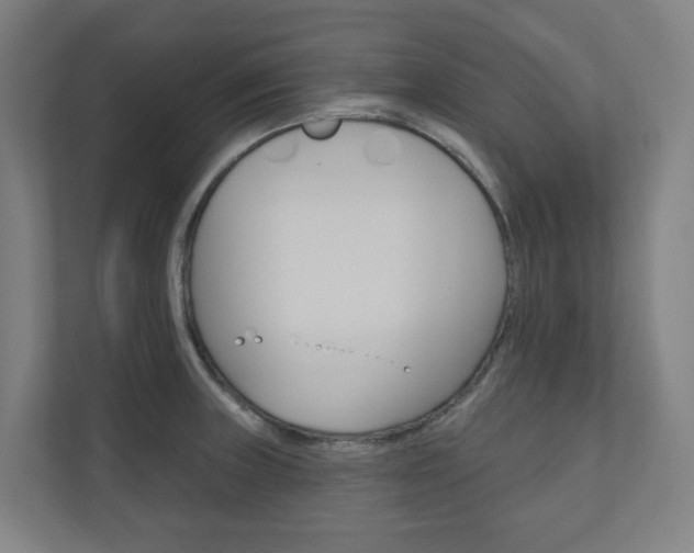 X0000110901235200906180939