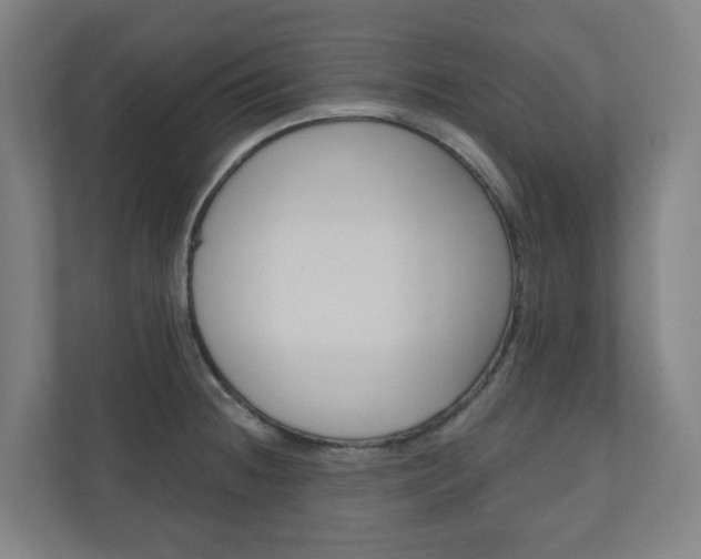 X0000110901236200906180939