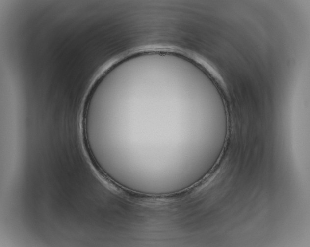 X0000110901237200906180939