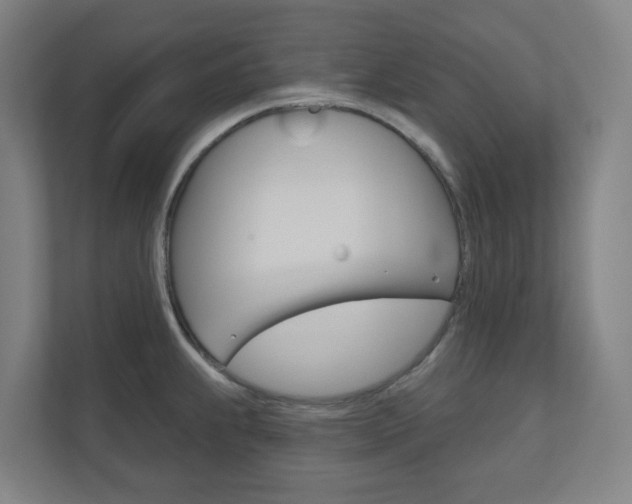 X0000110901239200906180939