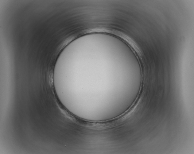 X0000110901241200906180940