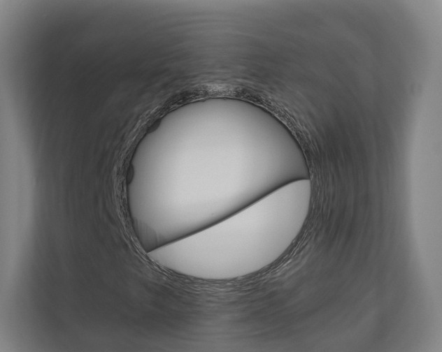 X0000110901249200906180939