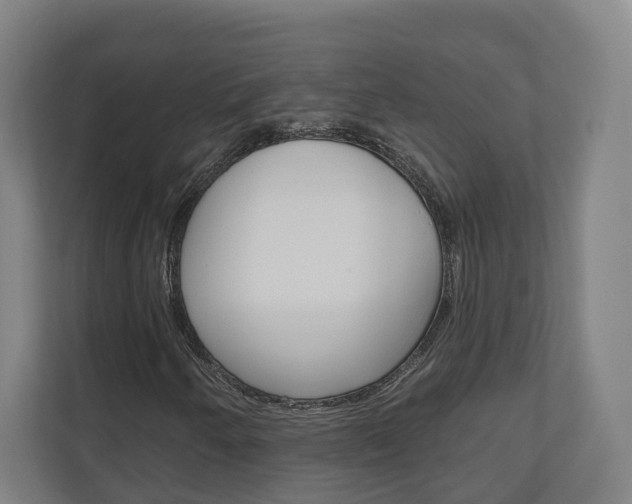 X0000110901250200906180939