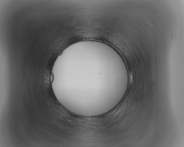 X0000110901251200906180939