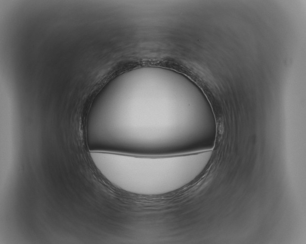 X0000110901252200906180939