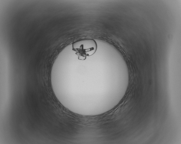 X0000110901253200906180939