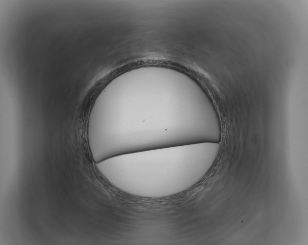 X0000110901255200906180939