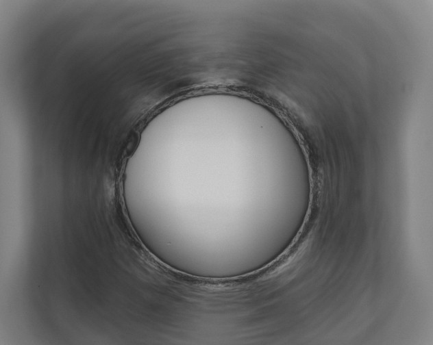 X0000110901257200906180939