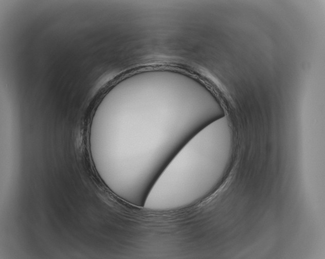 X0000110901259200906180939