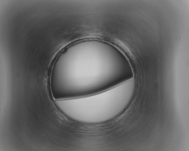 X0000110901260200906180939