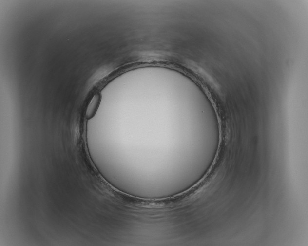 X0000110901261200906180939