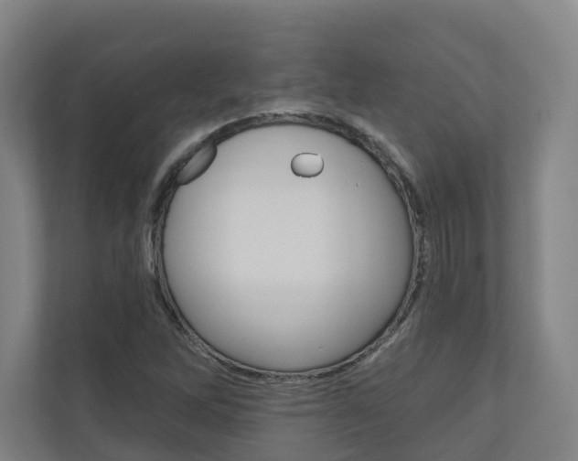 X0000110901262200906180939