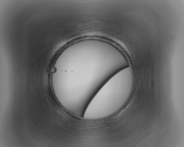 X0000110901263200906180939
