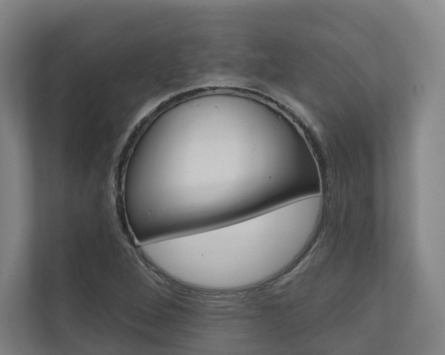 X0000110901264200906180939