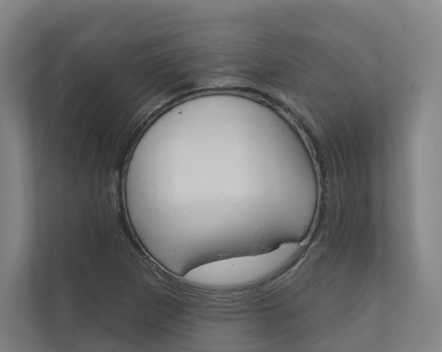 X0000110901265200906180939