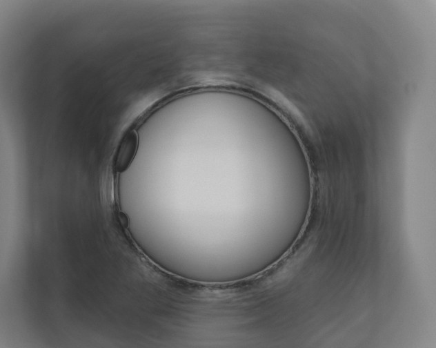 X0000110901269200906180939