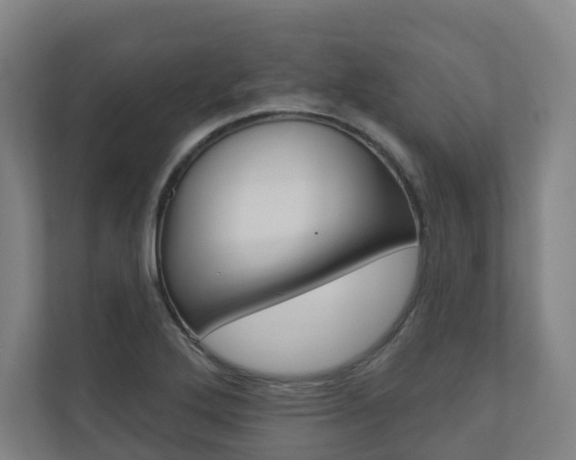 X0000110901272200906180939