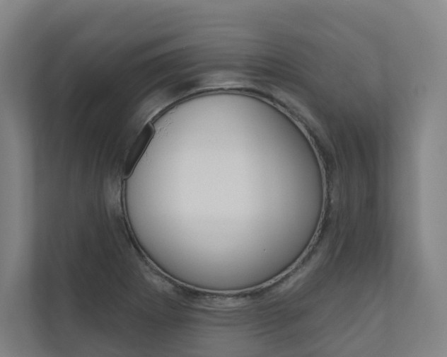 X0000110901273200906180939