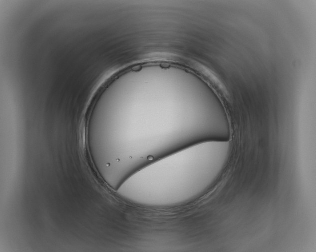 X0000110901275200906180939