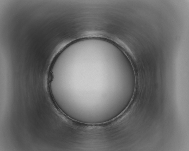 X0000110901277200906180939
