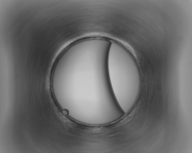 X0000110901279200906180939