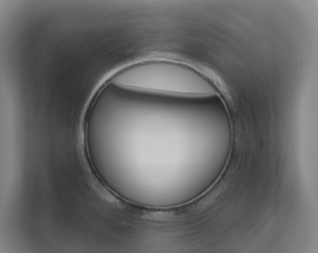 X0000110901280200906180939