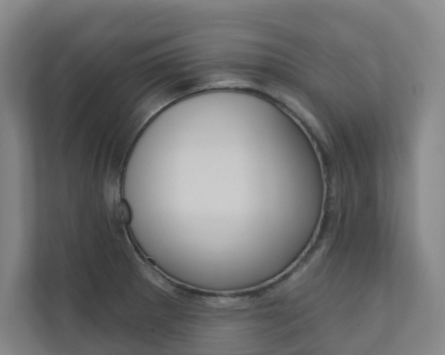 X0000110901281200906180939