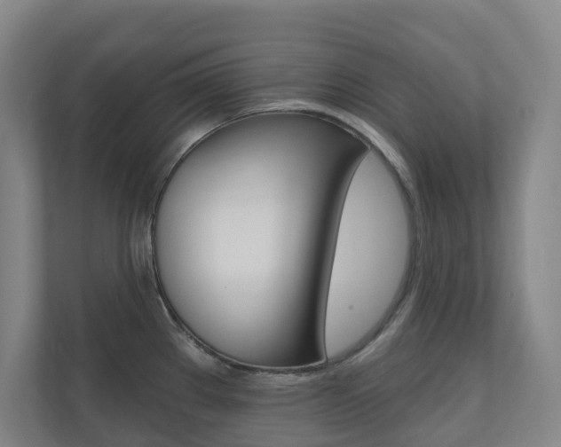 X0000110901289200906180938