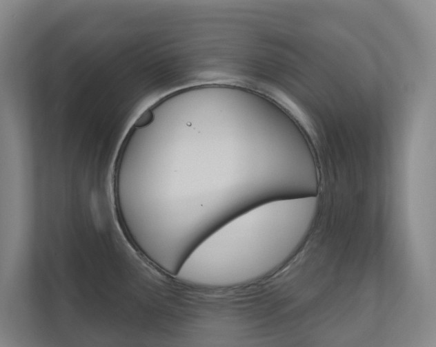 X0000110901291200906180938