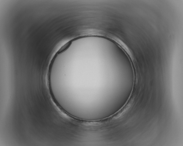 X0000110901293200906180938