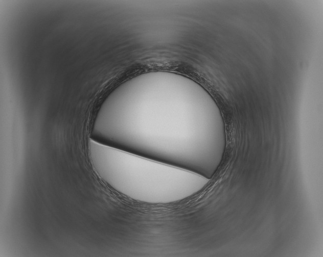 X0000110901297200906180938