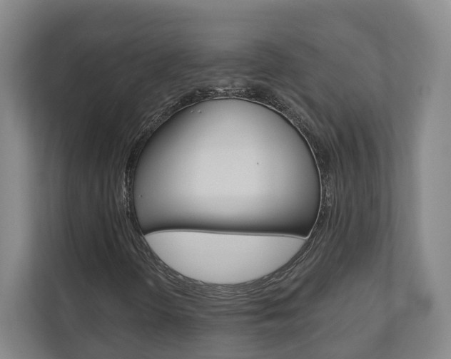 X0000110901298200906180938