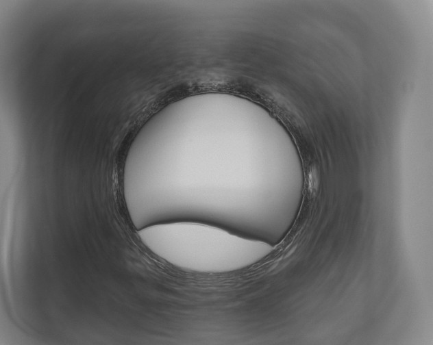 X0000110901299200906180938