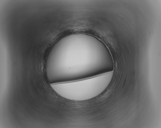 X0000110901300200906180938