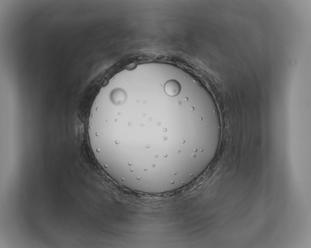 X0000110901302200906180938