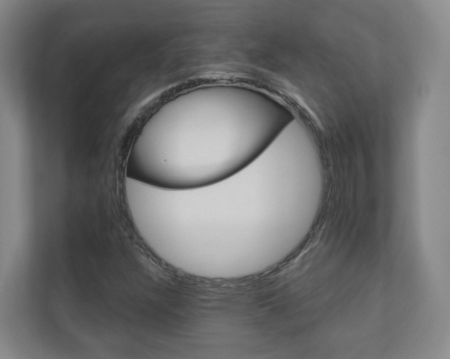 X0000110901304200906180938