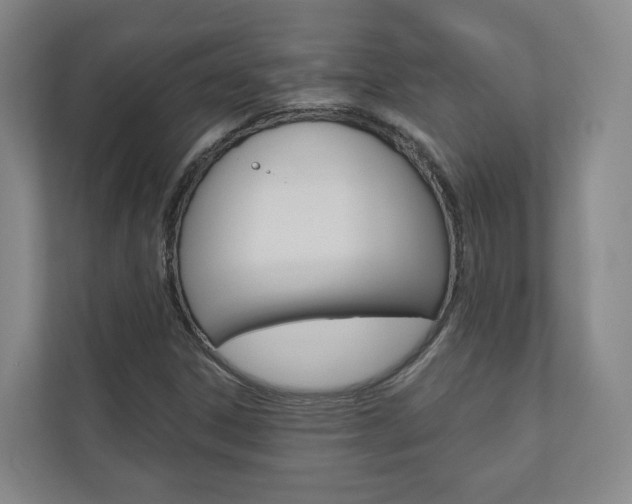 X0000110901306200906180938