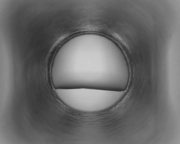 X0000110901307200906180938