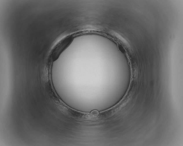 X0000110901310200906180938