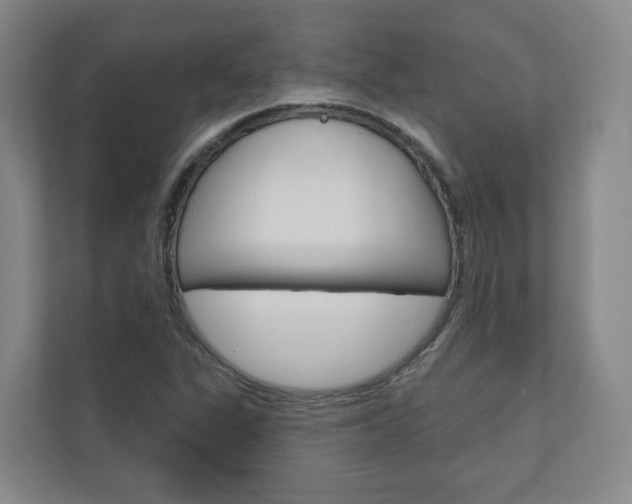 X0000110901311200906180938