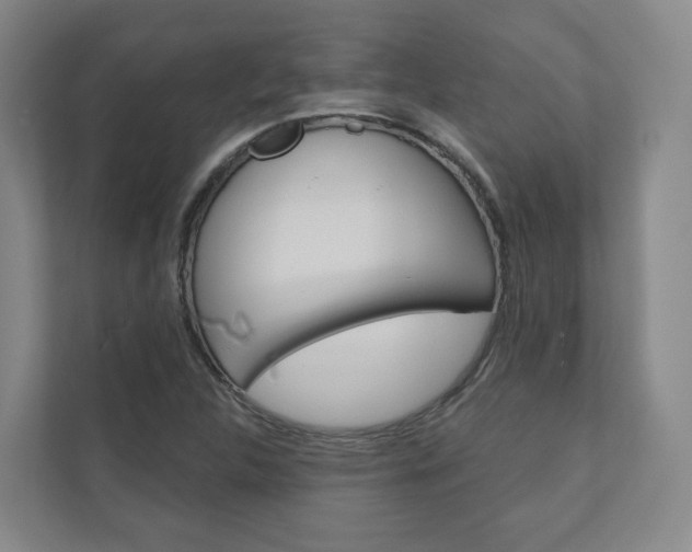 X0000110901312200906180938