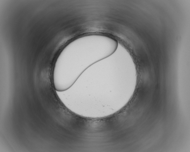X0000110901314200906180938