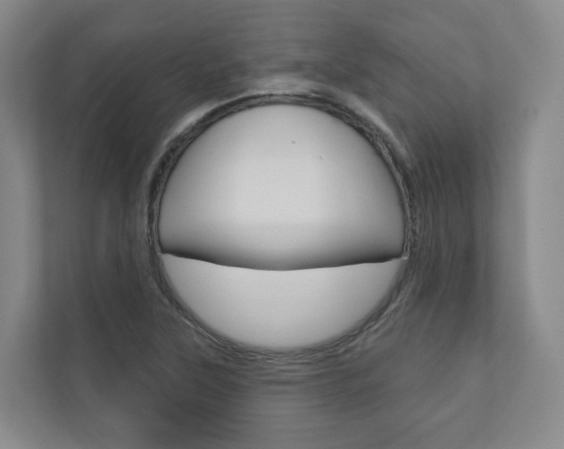 X0000110901315200906180938