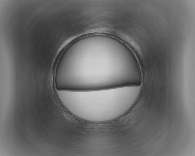 X0000110901316200906180938