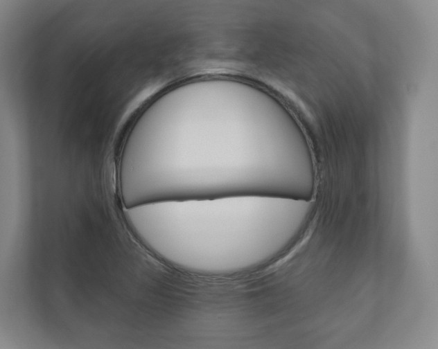 X0000110901317200906180938
